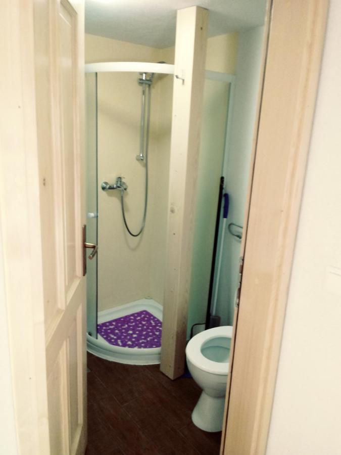 apartma HIŠKA KOROŠEC Bohinj Bagian luar foto